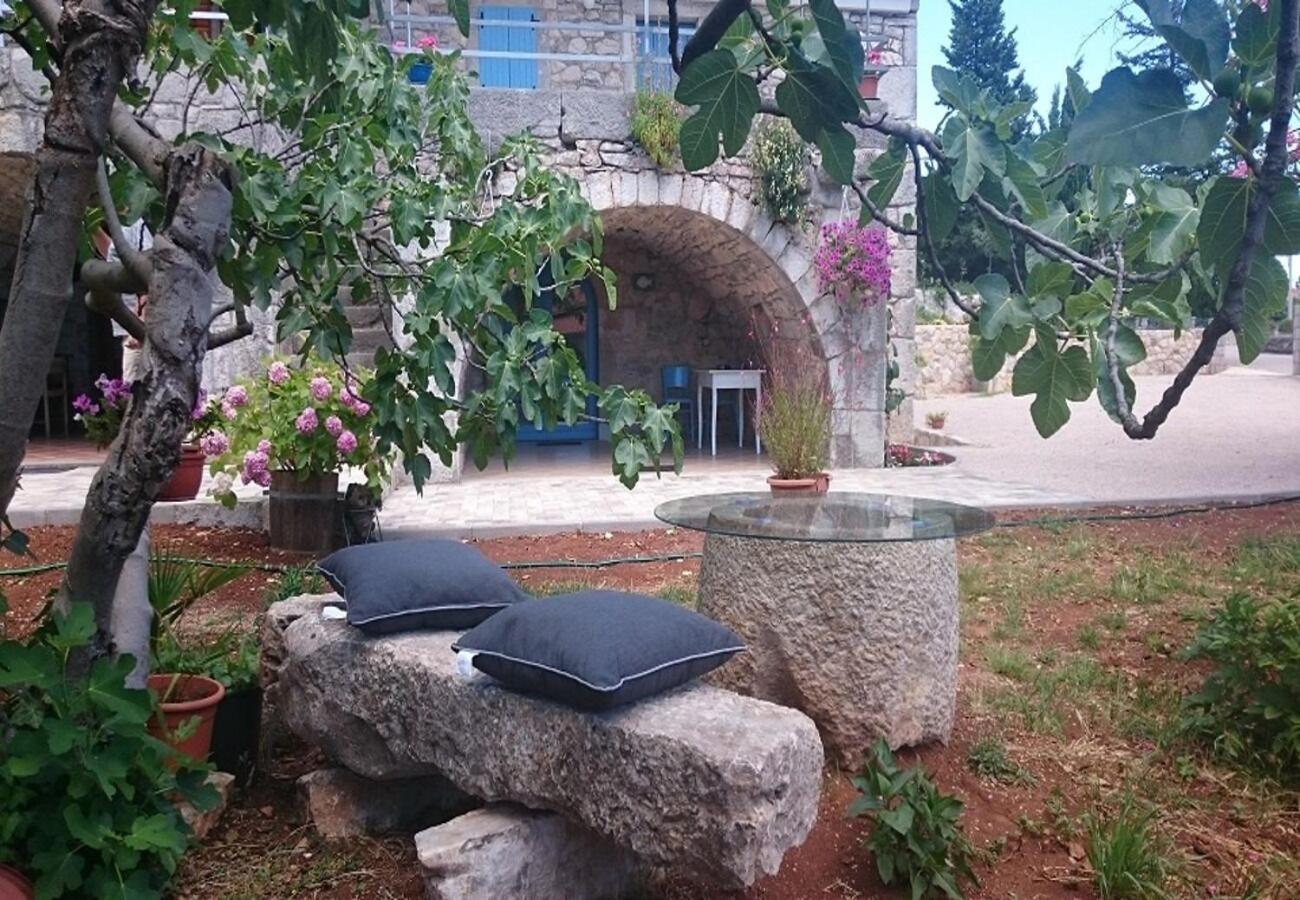 Apartment Insula Insule - Rustic & Peaceful